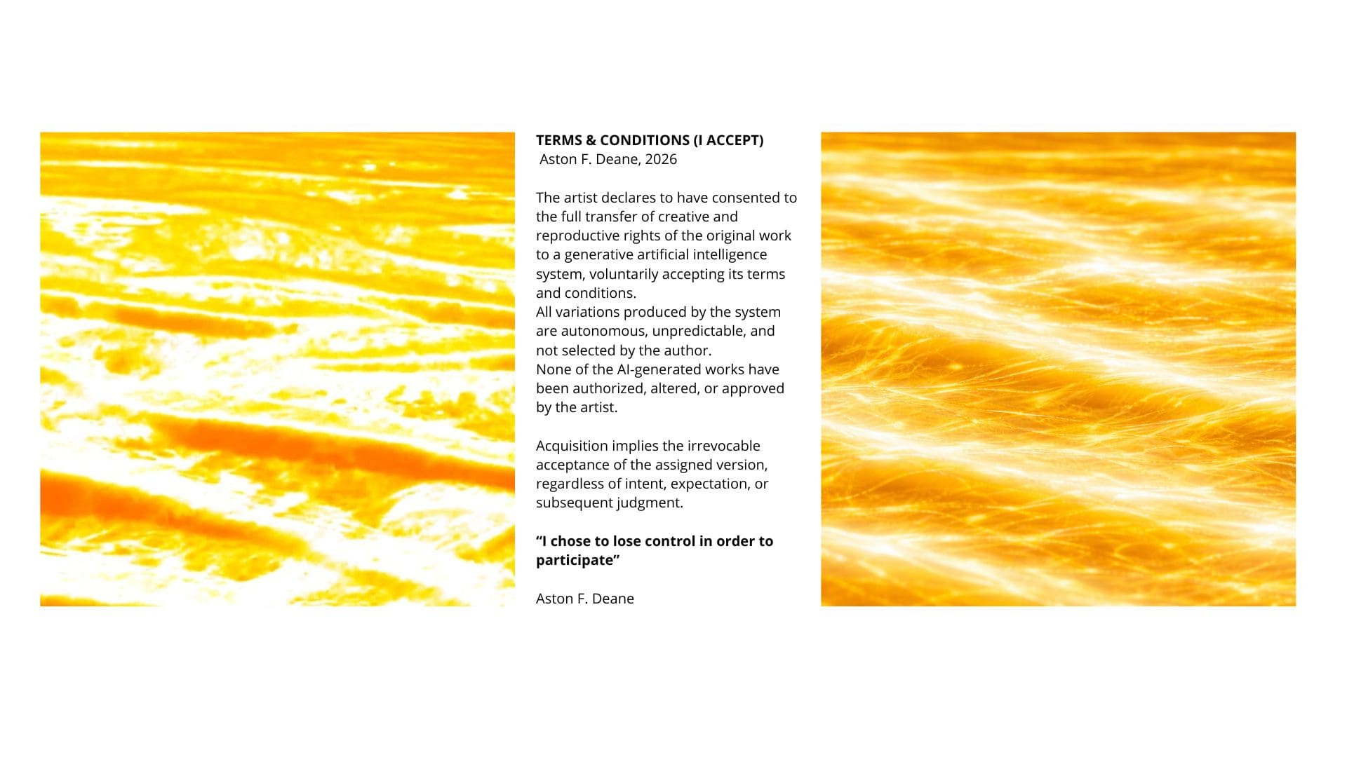Terms & Conditions Var-02
